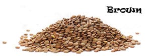 Pile of dry brown lentils