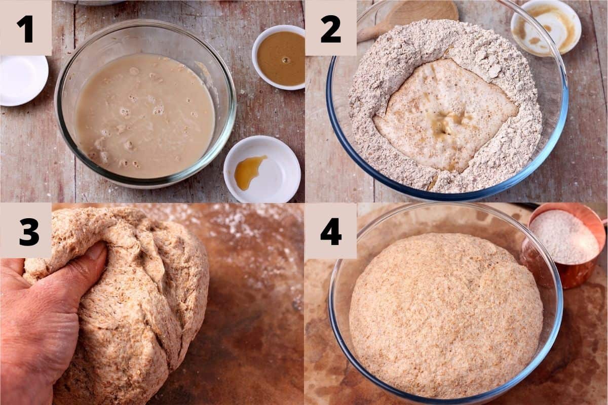 How to make vegan whole wheat dough in 4 steps.