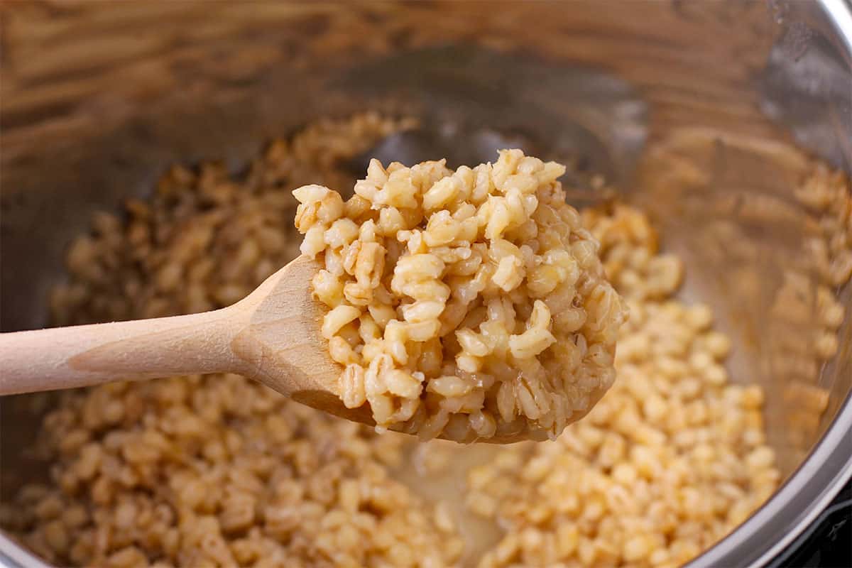 Cooked barley is held over the Instant Pot in a wooden spoon.