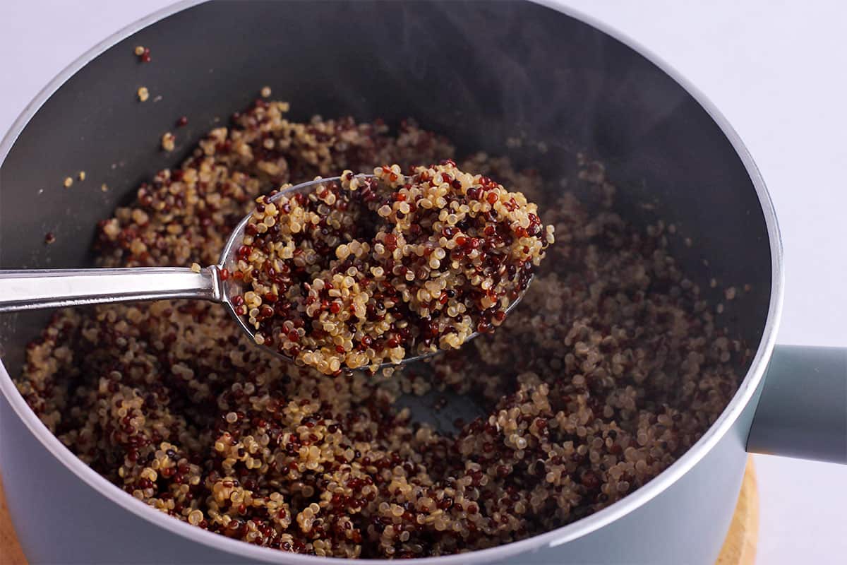 Tri-color quinoa is cooked in a saucepan.