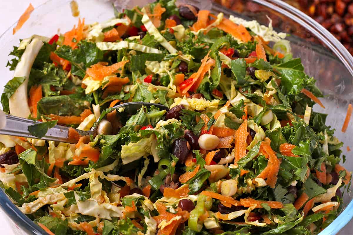 A salad with kale, cabbage Adzuki beans, and carrots is mixed with a spoon.