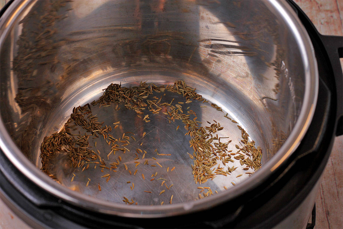 Dried cumin seeds in the Instant Pot.