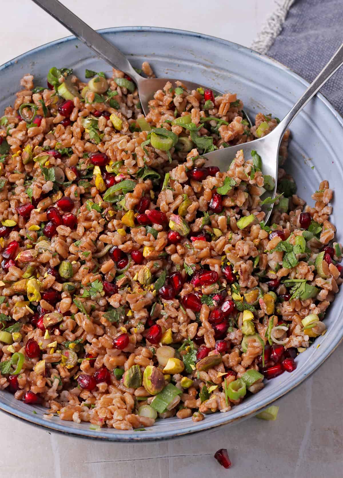 Farro salad with pomegranate arils, pistachios, green onions, fresh herbs, and pomegranate dressing.