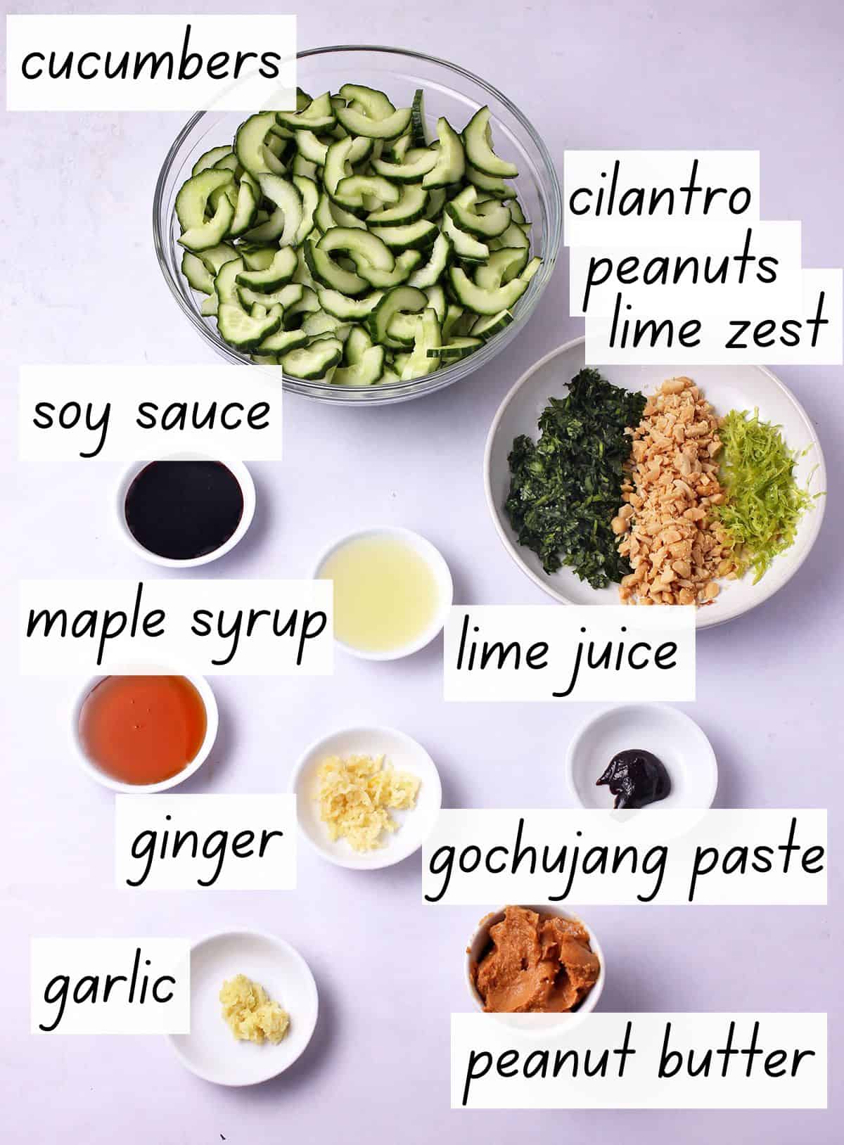 The ingredients for cucumber salad with peanut dressing with labels.