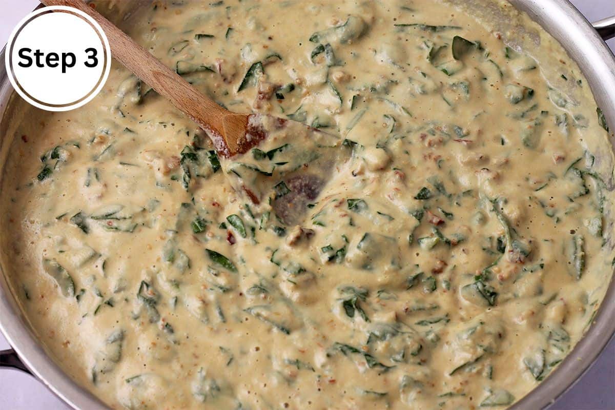 Vegan alfredo sauce with spinach and sundried tomatoes.